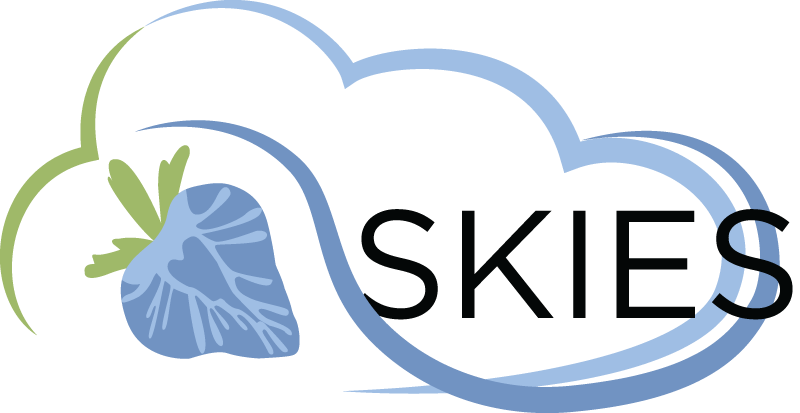 Skies Logo Transparent